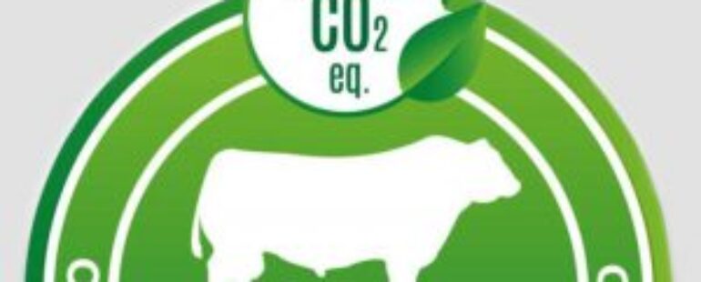 Uruguay exportará el primer embarque de carne verificada como carbono neutral de Sudamérica